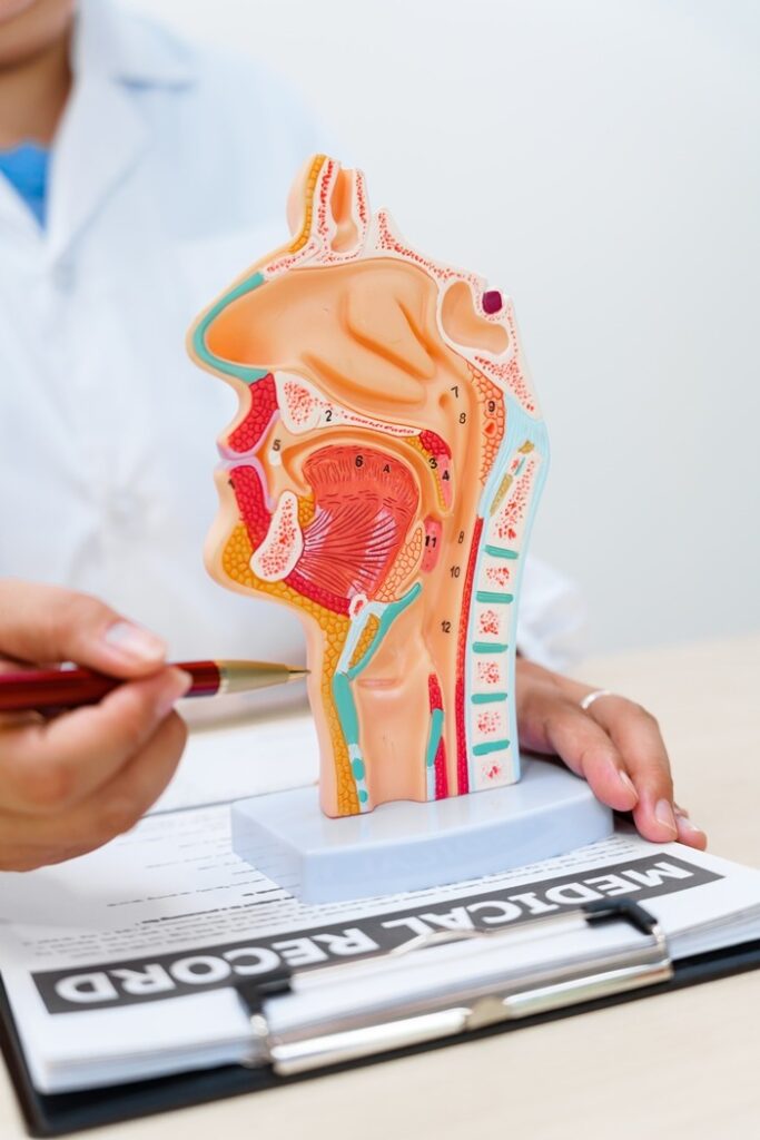 During Oesophageal Manometry Tests